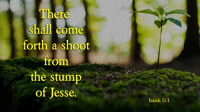Isaiah 11_1