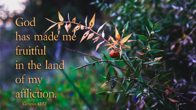 genesis-41_52